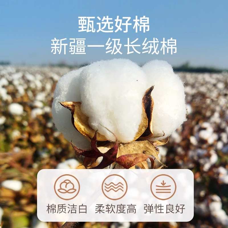 新疆纯棉花床垫床褥子棉絮棉被垫被褥垫褥手工学生宿舍单人铺底