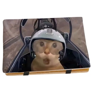 耄耋哈气猫学生坐垫记忆棉椅垫凳子垫可拆洗学习办公座椅垫防滑