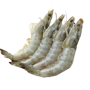 虾鲜活海鲜虾新鲜野生活虾海捕大对虾基围虾海虾青虾海鲜水产鲜活