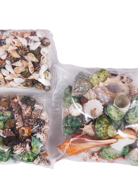 灰白海螺鱼缸装饰|超4000次加购