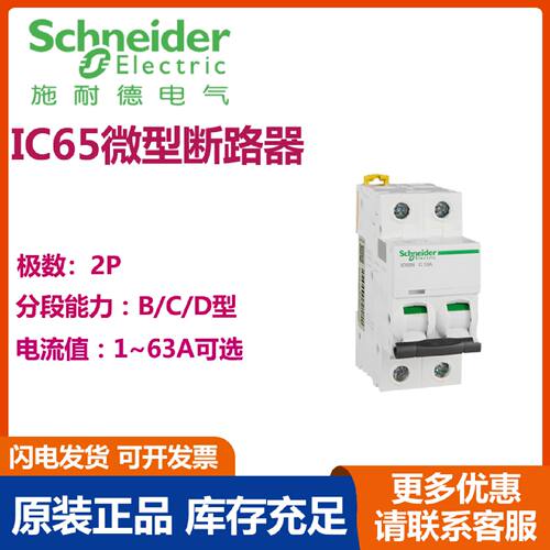 议价施耐德IC65N系列微型断路器配电型IC65N 2P C16A IC65N 2P C1