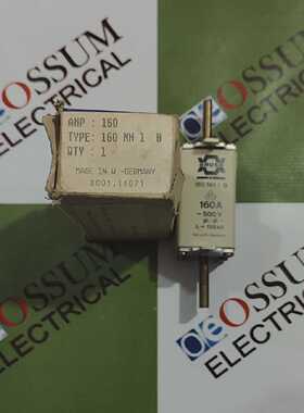 BRUSH160NH1B160amp500伏GLGG120kAC熔断器链接免费送货