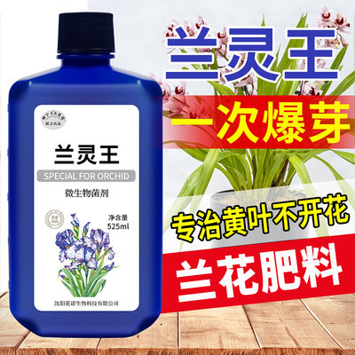 兰灵王兰花专用营养液肥料EM菌兰陵王促花君子兰营养液蝴蝶兰墨兰