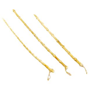 手工定制竹鞭条柔韧实心竹根教鞭家教鞭家训神器黄金棍荆条子训狗