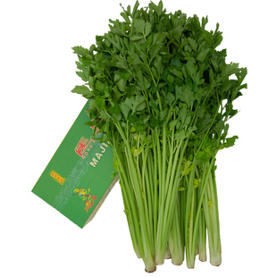 平度马家沟芹菜空心绿翡翠一秒开花空心空梗可生吃凉拌时令蔬菜