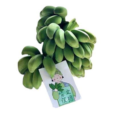 【禁止蕉绿】一整串带杆小米蕉办公室桌面水养香蕉小香蕉芭蕉新鲜