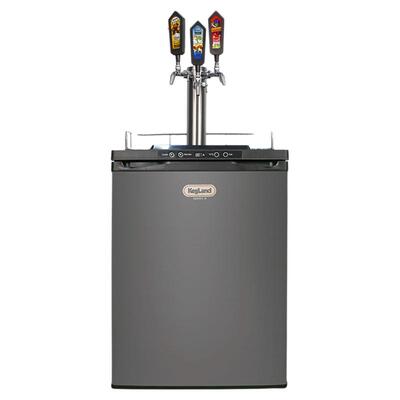 风冷啤酒机冰箱冷藏保鲜KegLand