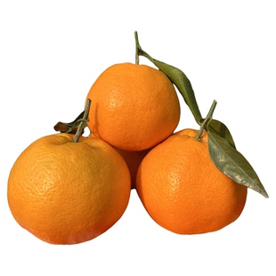 正宗四川春见耙耙柑现摘粑粑柑桔子新鲜水果当季特级大橘子杷杷柑