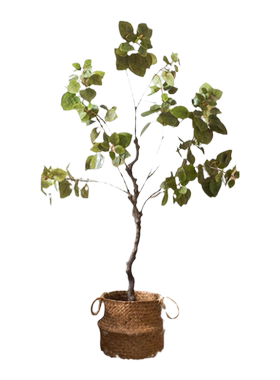 掬涵大型紫荆树盆栽仿真植物盆景