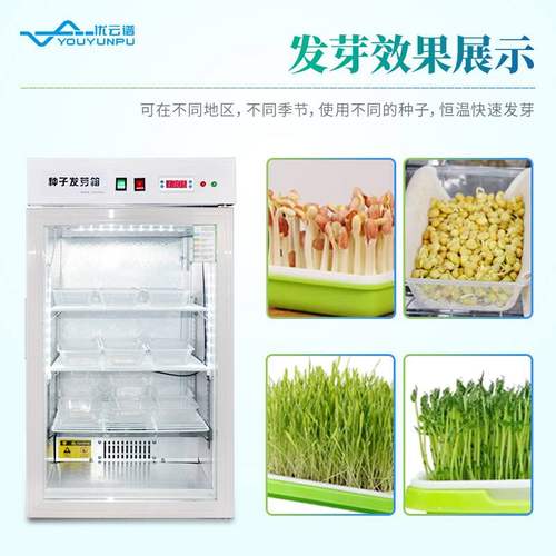 种子发芽箱电热恒温恒湿试验箱细菌微生物培养箱智能育芽催芽机