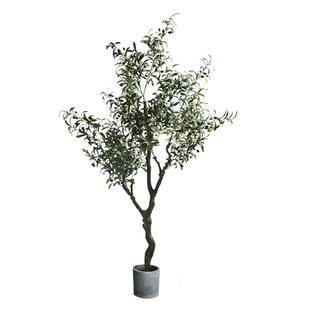 仿真绿植盆栽室内客厅橄榄树北欧ins风落地摆件装饰办公室假树