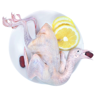 【1只2只可选】崇明老杜生态鸽子乳鸽农家孕妇滋补炖汤新鲜肉鸽