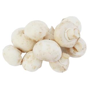 【沁蕊】口蘑 新鲜食用菌 鲜白蘑菇 口菇 双孢菇 400g