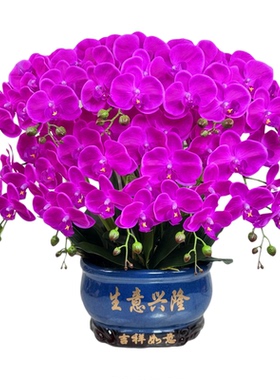 高端仿真蝴蝶兰假花手感保湿花