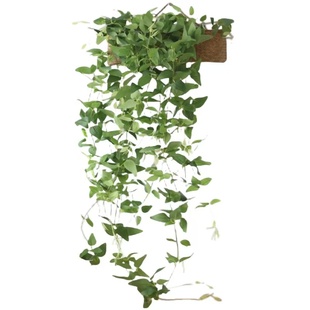 仿真植物绿植壁挂吊篮塑料假花装饰藤条蔓树叶室内阳户外家居摆件