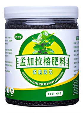 孟加拉榕专用肥料专用型营养液室内大叶飘枝大型盆栽树苗绿植肥料