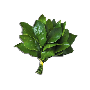 柚子叶去晦气鼠标垫创意转运异形送礼物可爱卡通女生高颜值书桌垫