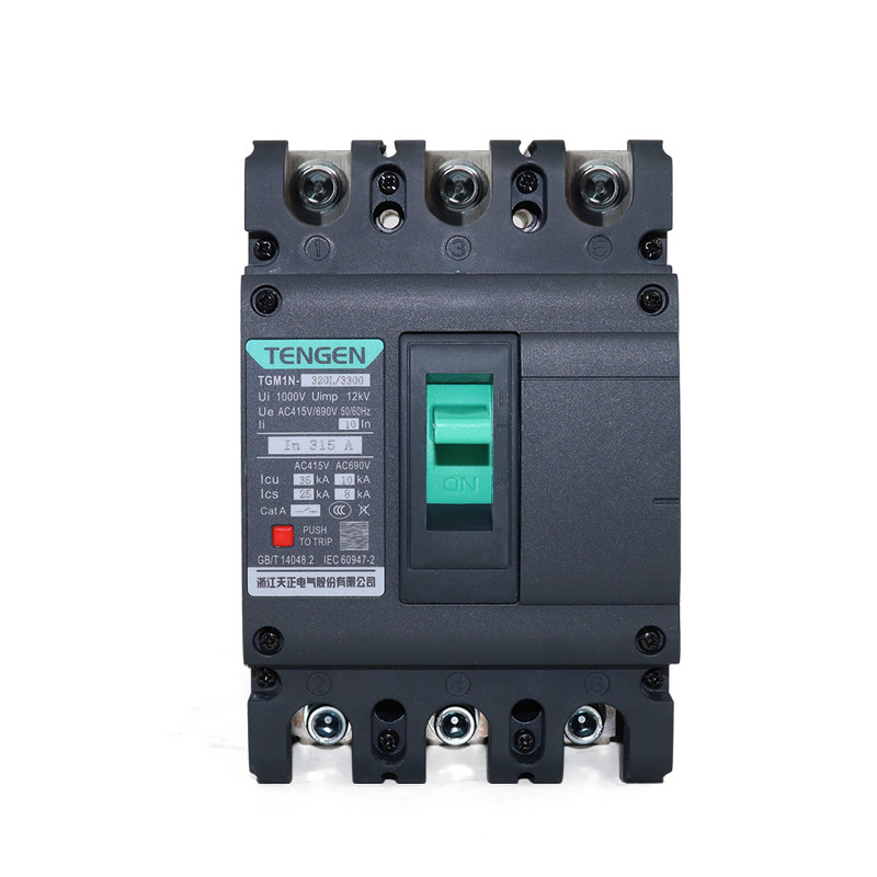 天正TGM1N-320L/3300塑壳断路器