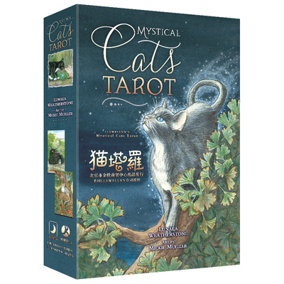 猫咪韦特塔罗牌正版初学者