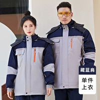 Тибетская голубая плечота хлопчатофора