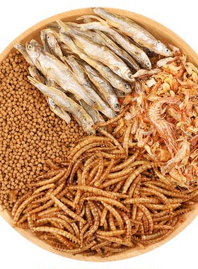 冠之亚巴西龟乌龟饲料