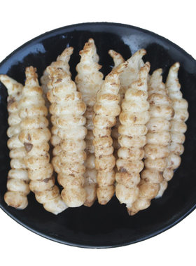 新鲜宝塔菜螺丝菜地环地溜子腌菜