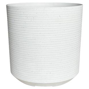 精致小绿植树脂塑料家用天堂鸟虎皮兰龟背竹大花盆丨轻奢高级感