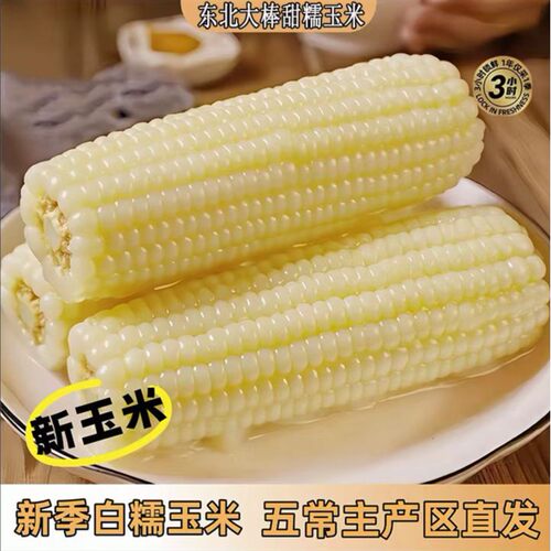 整箱7.5-8斤东北头茬大棒白甜糯玉米300-350g整箱12大根试吃4根