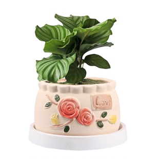 多肉花盆陶瓷圆形简约创意个性透气室内家用小绿植盆栽摆件带托盘