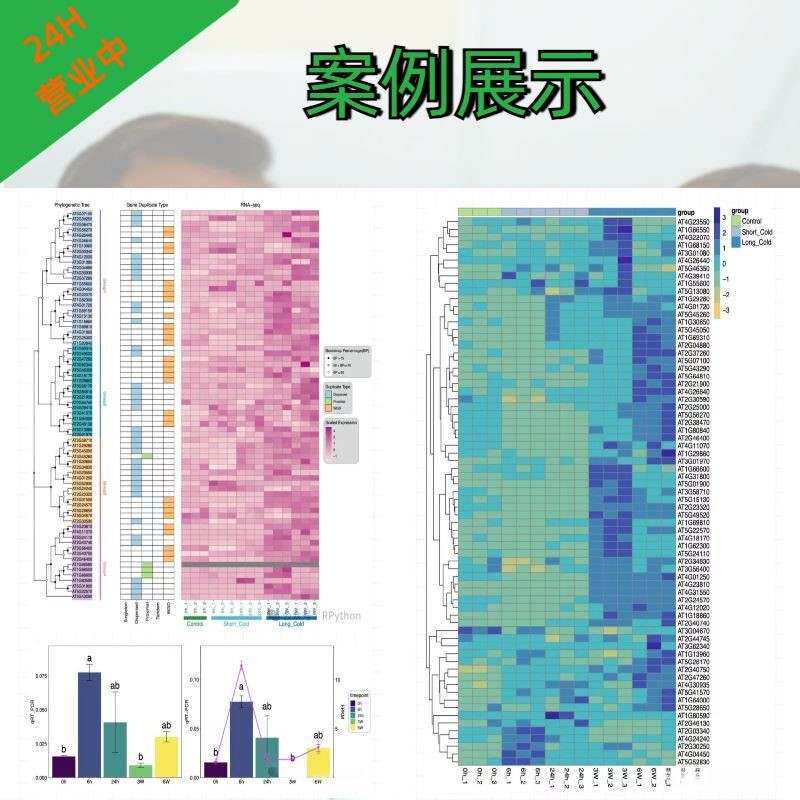分子对接 分子动力学模拟 蛋白对接 同源建模 虚拟筛选 MD计算