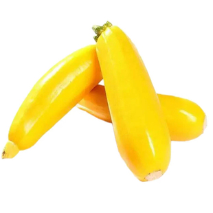 西葫芦种子苗高产四季盆栽西胡芦种籽蔬菜夏季香蕉大全瓜孑瓜苗