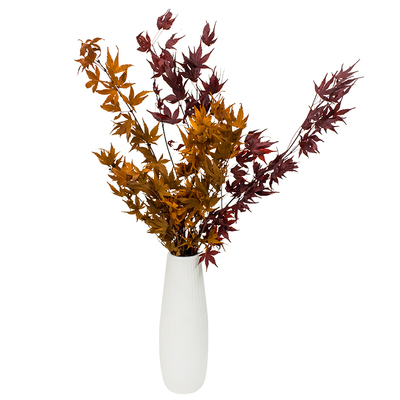 枫叶桂花叶永生干树枝无需水养