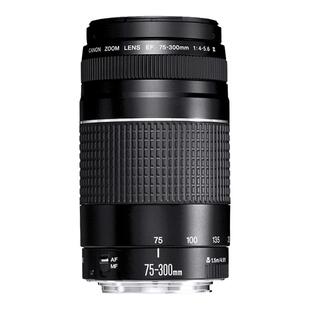 Canon/佳能RF75-300mm F4-5.6远摄变焦镜头75300微单相机长焦风光