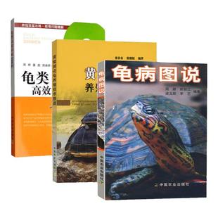 养龟书4册龟病图说黄缘闭壳龟养殖技术图谱龟类高效养殖200问高效养龟关键技术养好宠物龟大全宠物乌龟高效养殖技术书龟类图鉴书籍