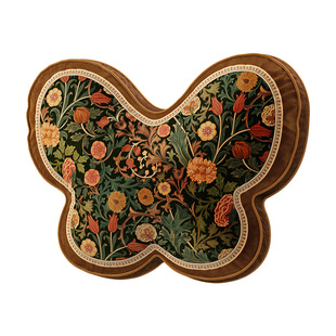 范居态度蝴蝶异形客厅沙发抱枕护腰美式氛围感靠枕高级感沙发靠枕