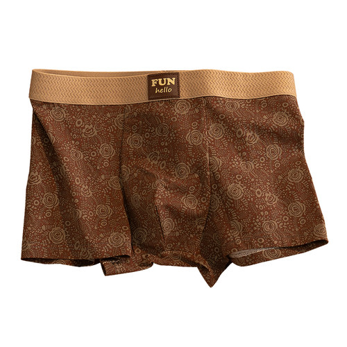 内裤男生纯棉2026冬新款全棉男士抗菌透气四角短裤高档男款平角裤