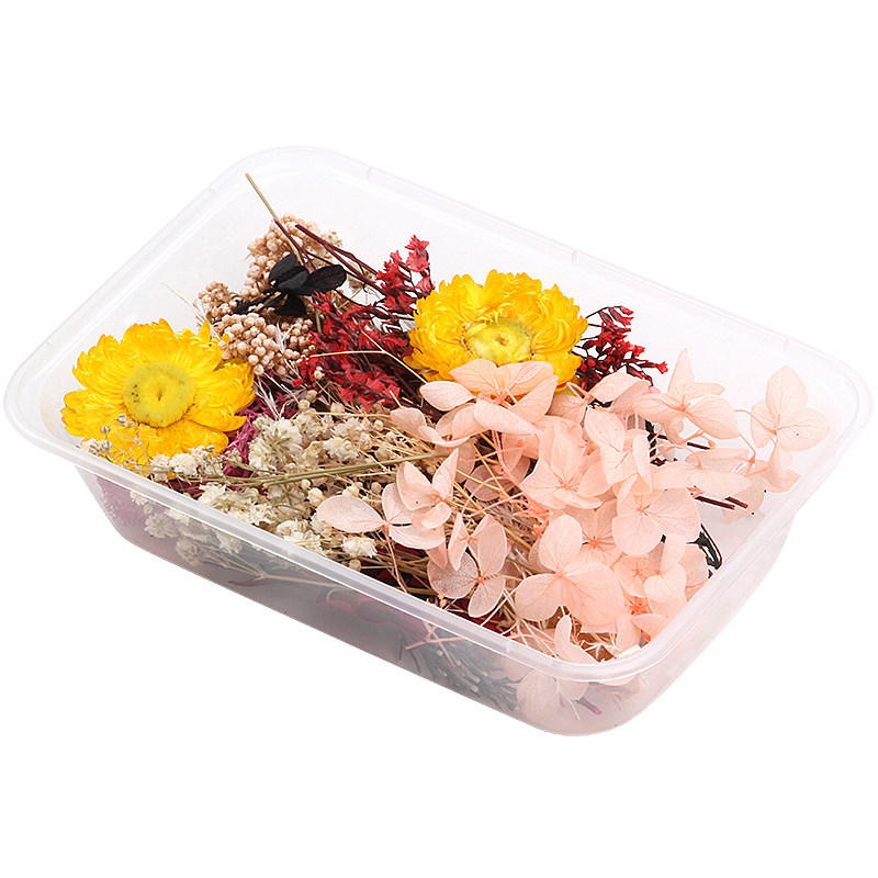 天然真花风干永生花diy手工花
