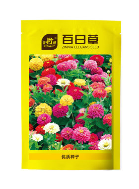 史丹利精选百日草花种花色纯正