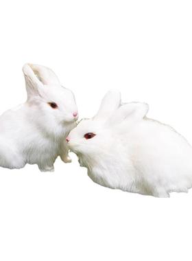 摄影博主推荐古装国风感小白兔