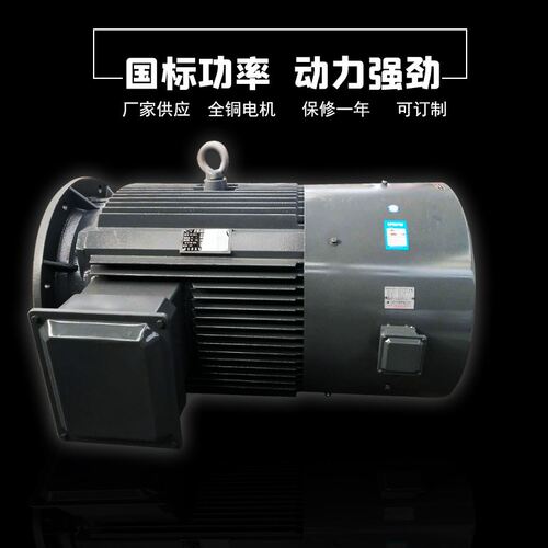 30KW变频调速电机/5-50HZ运行YVF/YVP异步高效空压机电机水泵