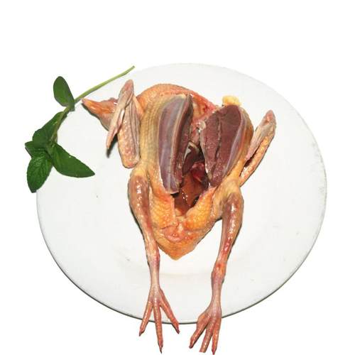 鲜鸽子肉散养乳鸽肉现杀鸽生鲜脆皮煲汤烤乳鸽孕妇两只起顺丰包邮