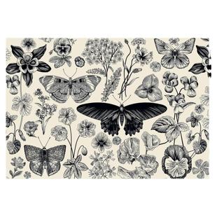 新款包邮Interdruk波兰进口益智文艺拼图花园蝴蝶和植物500片黑白