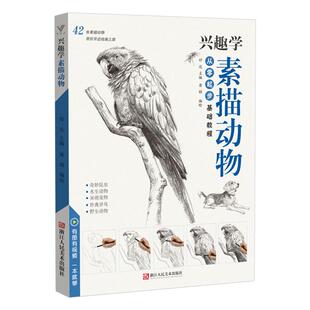 兴趣学素描动物 零基础入门美术绘画教程书临摹范本铅笔手绘画册照片对画简单精微自学技法猫猫狗生活兴趣教材教学初学者祁达书籍