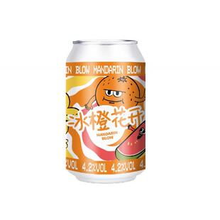 拾捌国产精酿啤酒组合武汉十八18号酒馆跳东湖不接受批评茶水铺子