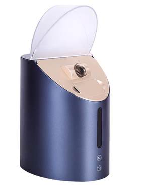 金稻蒸汽蒸脸仪脸部热喷仪蒸脸器