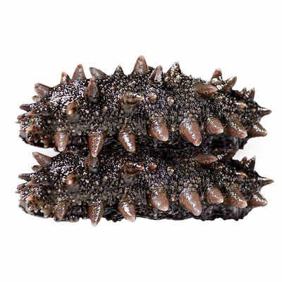 即食辽刺参500g|126人收藏