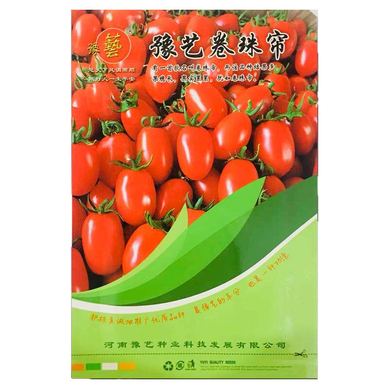 豫艺卷珠帘小番茄西红种子柿味道香甜圣女果水果蔬菜种子1000粒