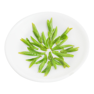 2026年新绿春茶叶自己喝禾安堂明前特级龙井乌牛早官方旗舰店100g