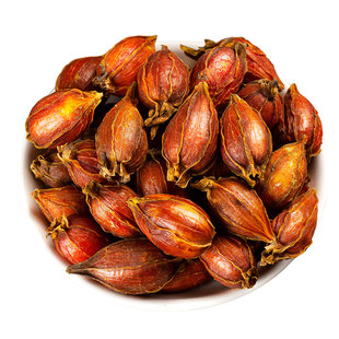 寻百草深山栀子中药材500g红小栀子山栀子泡茶黄栀子干栀子干姜汤