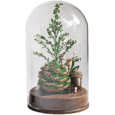 种籽造物青松生活每一天香薰礼盒